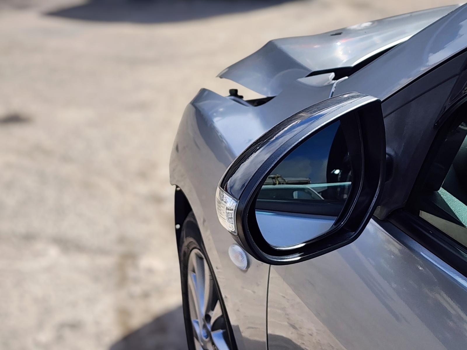 Left Door Mirror