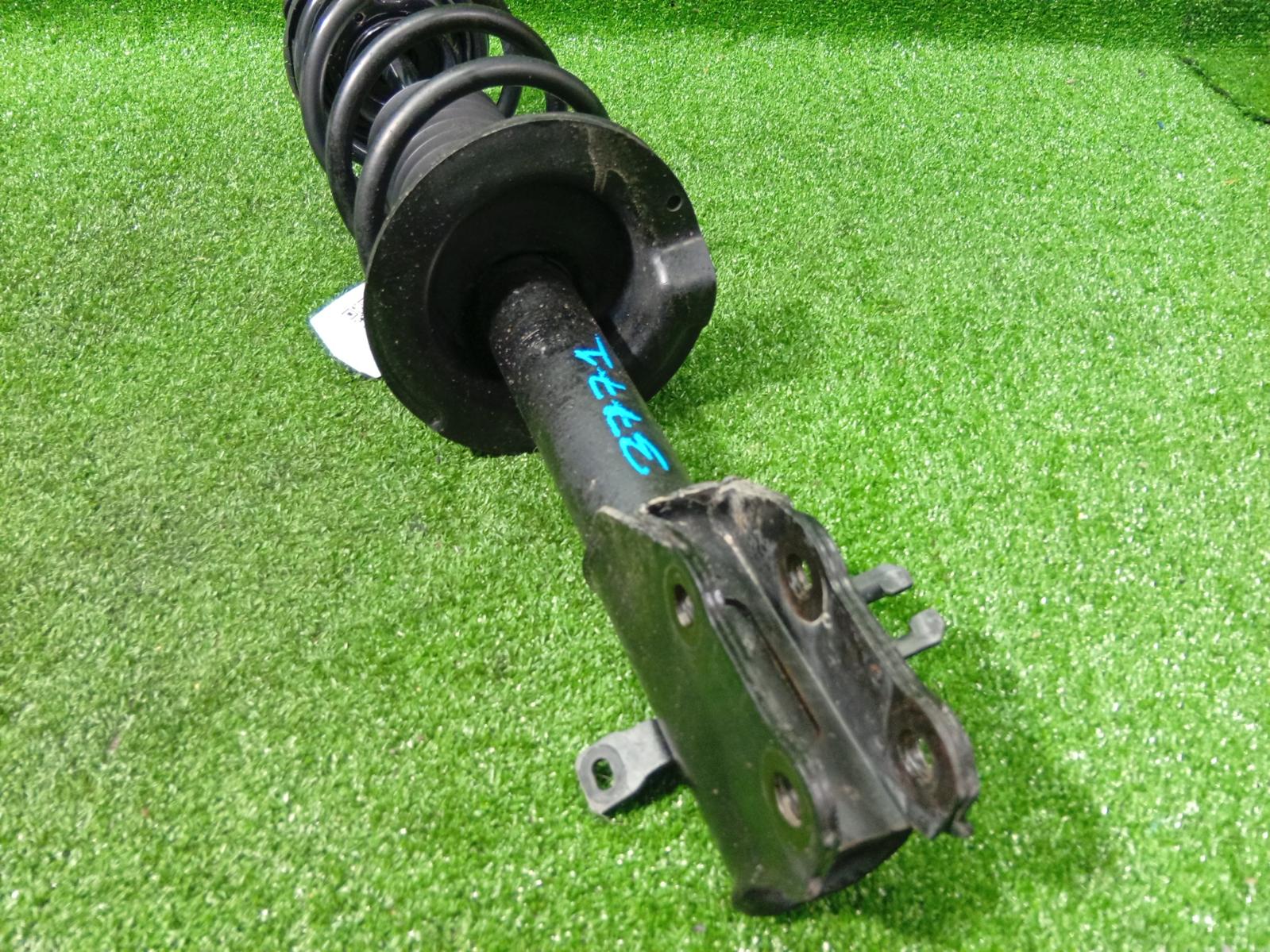 Right Front Strut
