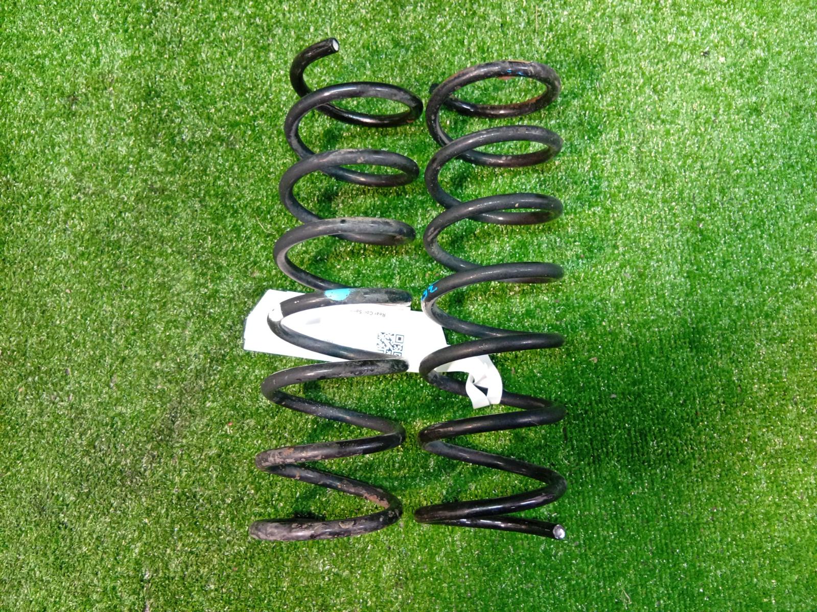 Rear Coil Spring