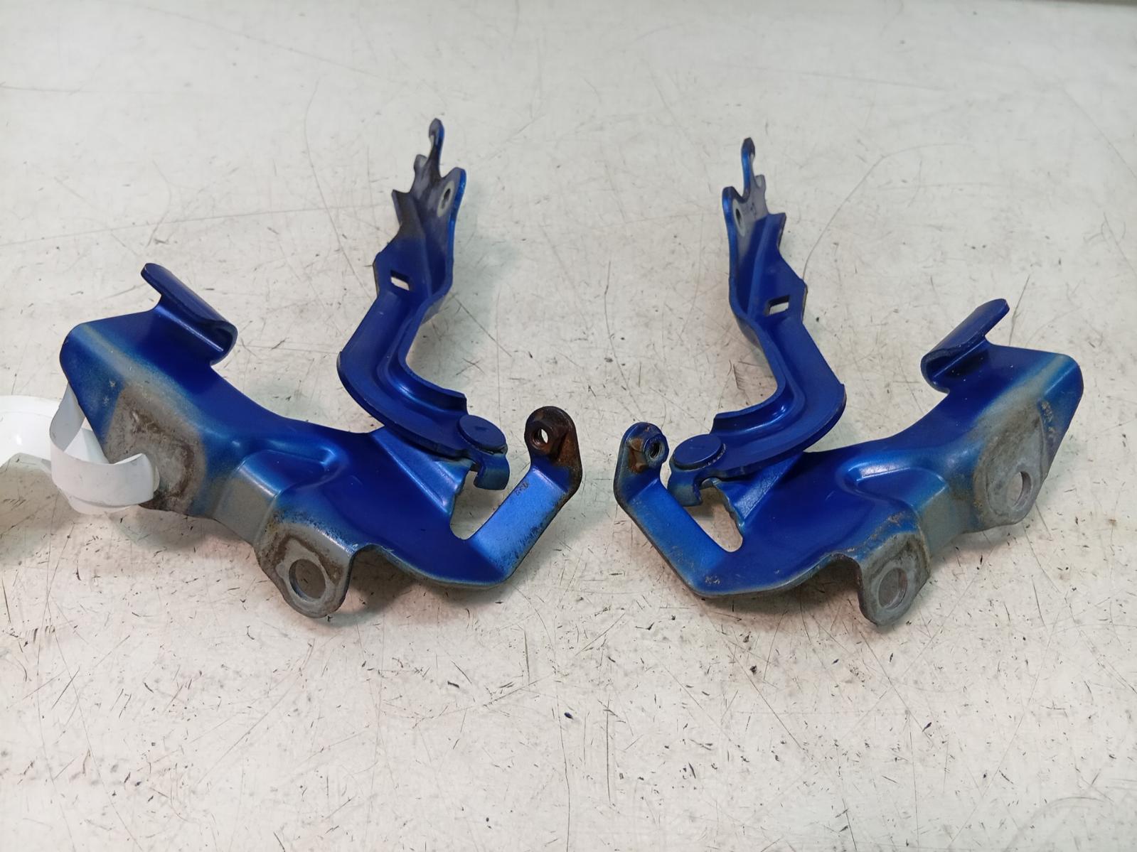 Bonnet_Hinge_Strut