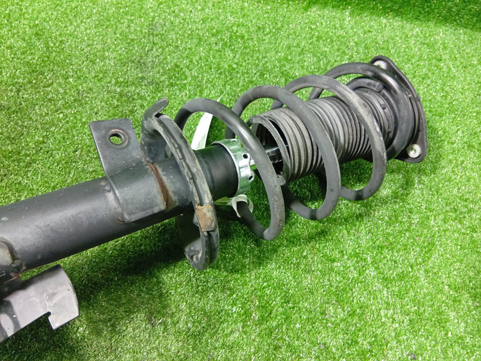 Left Front Strut