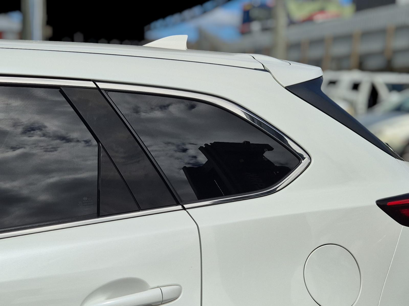 Left_Rear_Side_Glass