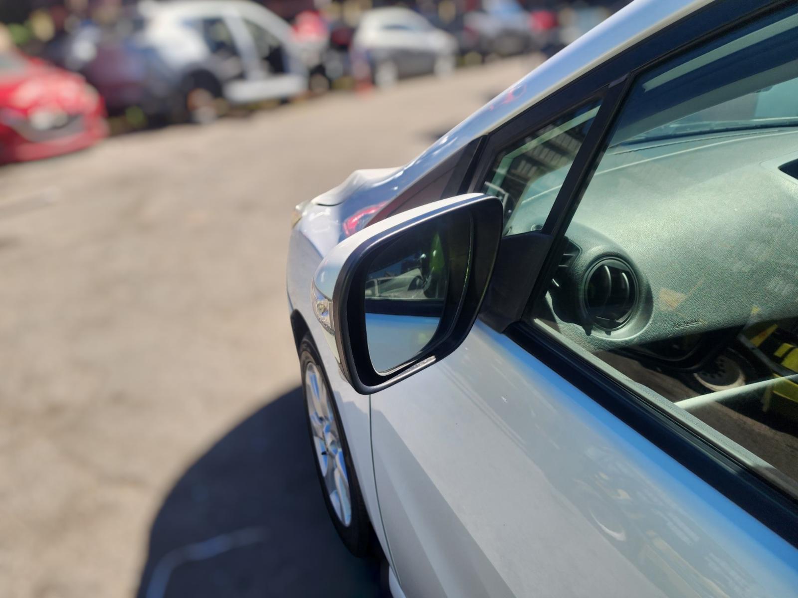 Left Door Mirror