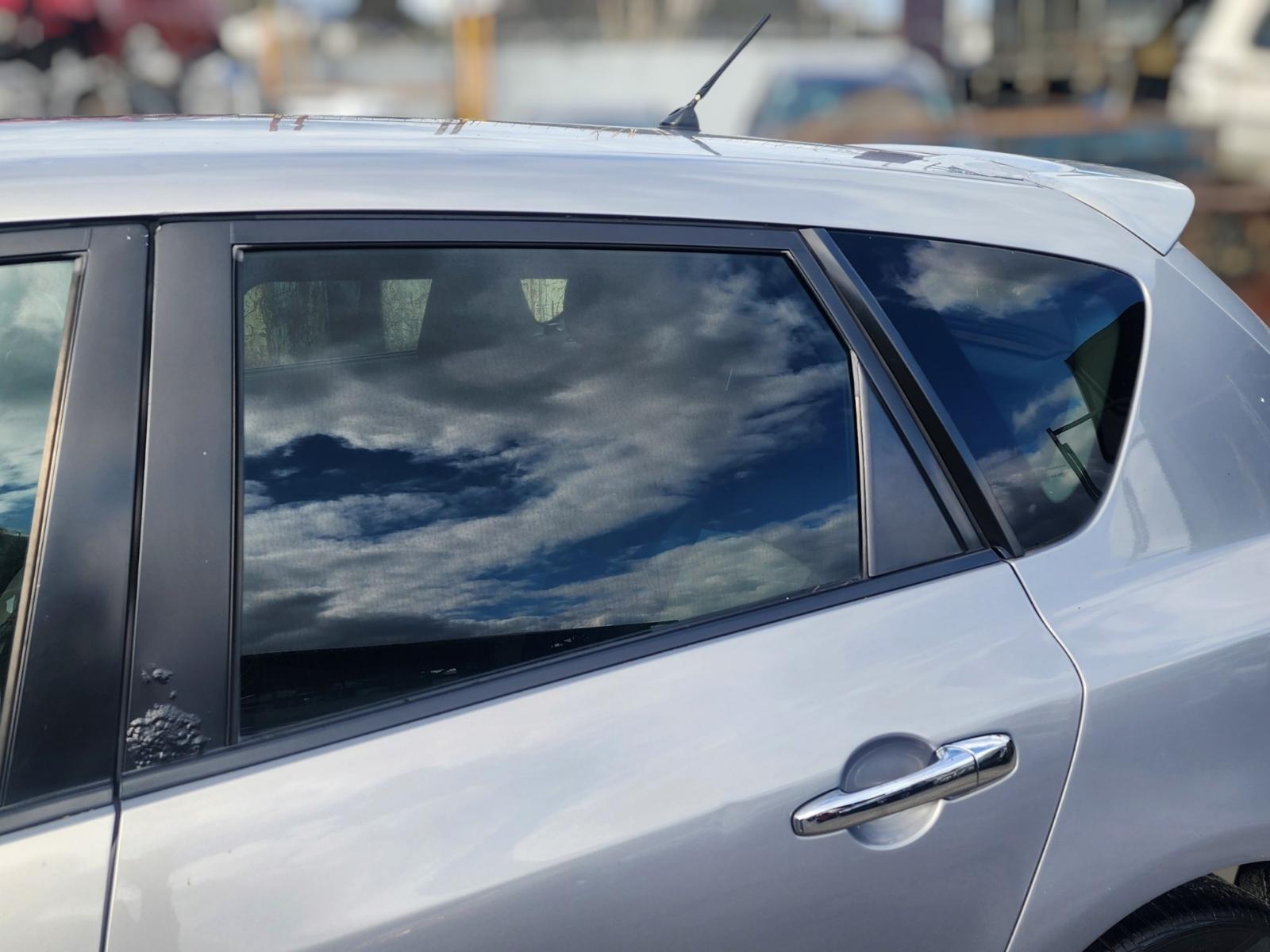 Left Rear Door Window