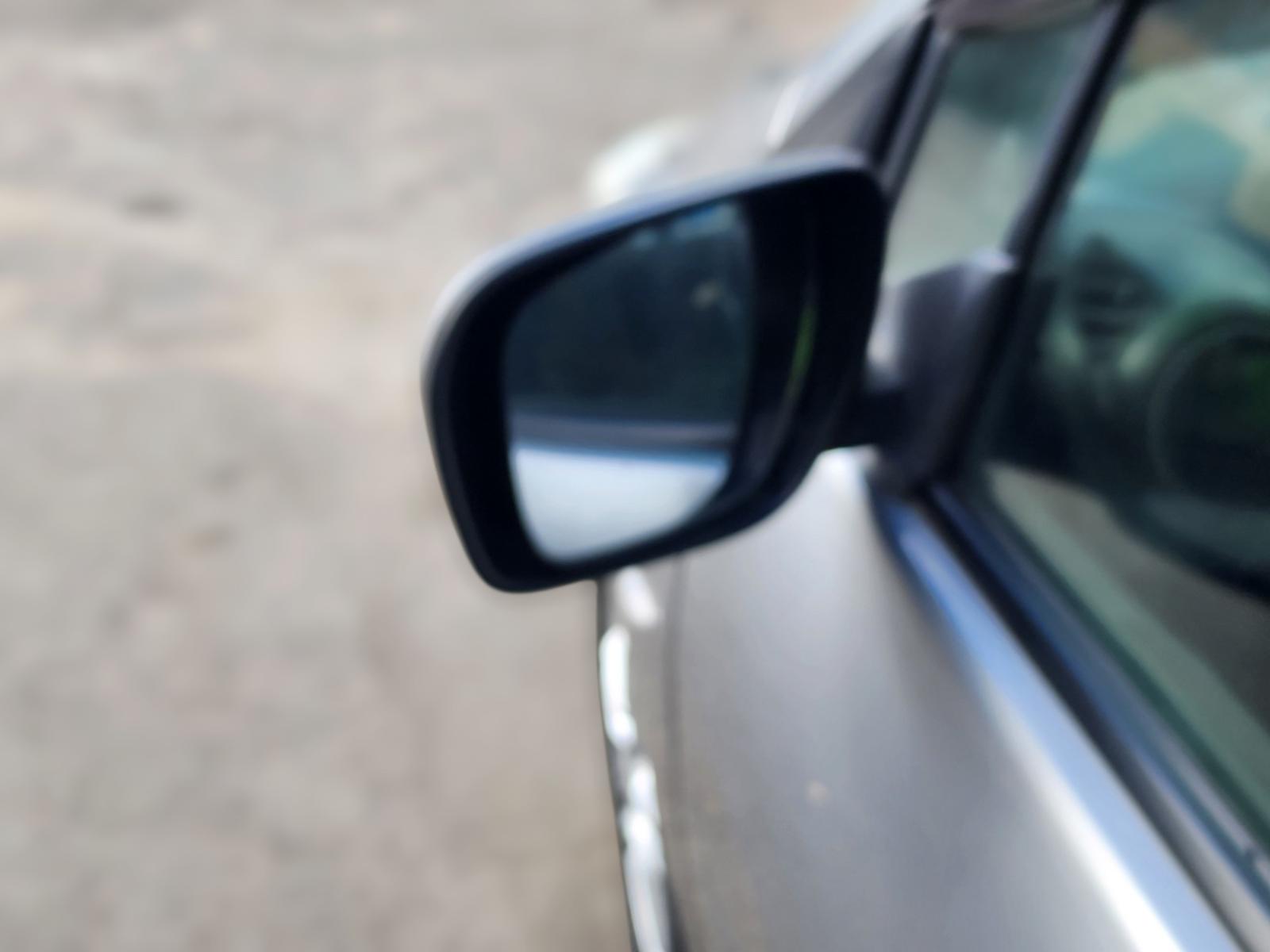 Left Door Mirror