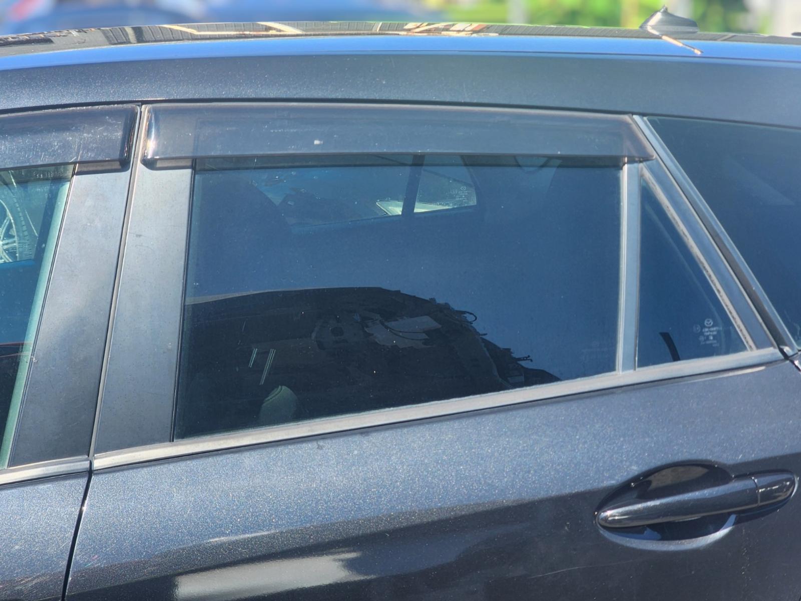 Left Rear Door Window