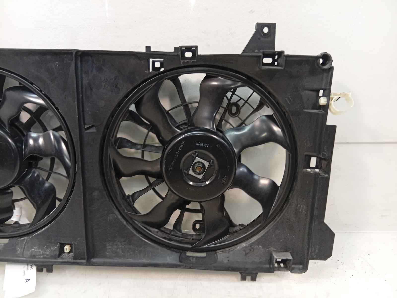 Fan