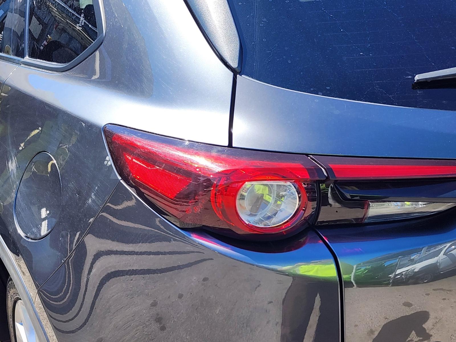 Left Taillight