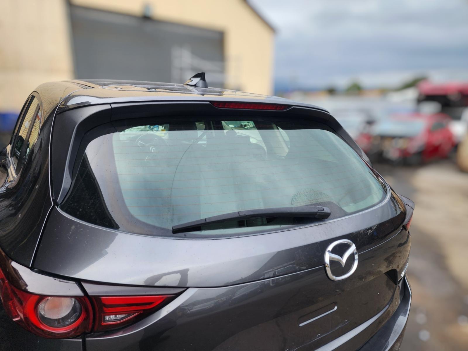 Rear Tailgate Glass