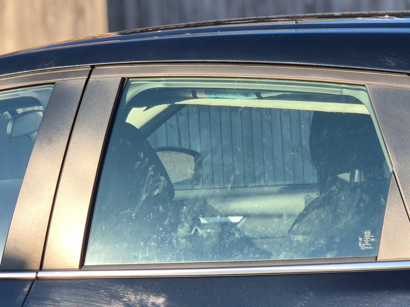 Left_Rear_Door_Window