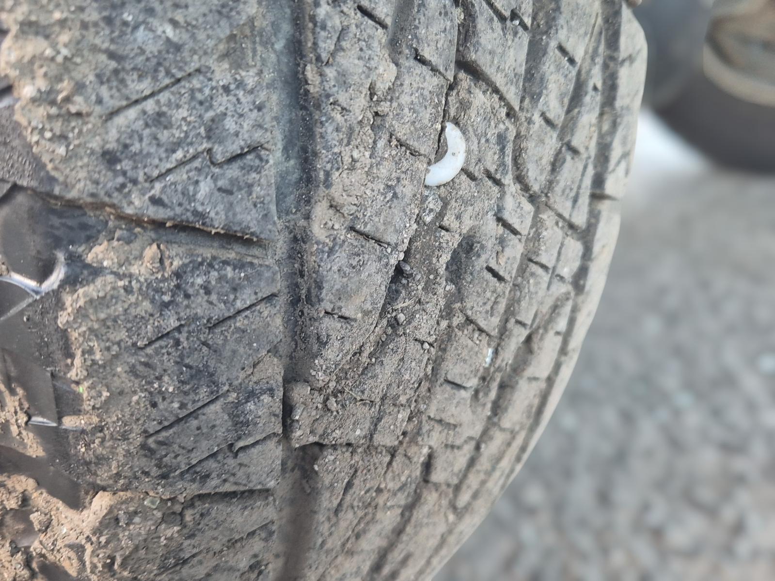 Wheel_Standard_Steel