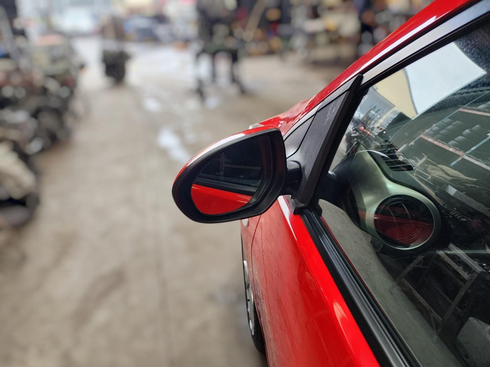 Left Door Mirror