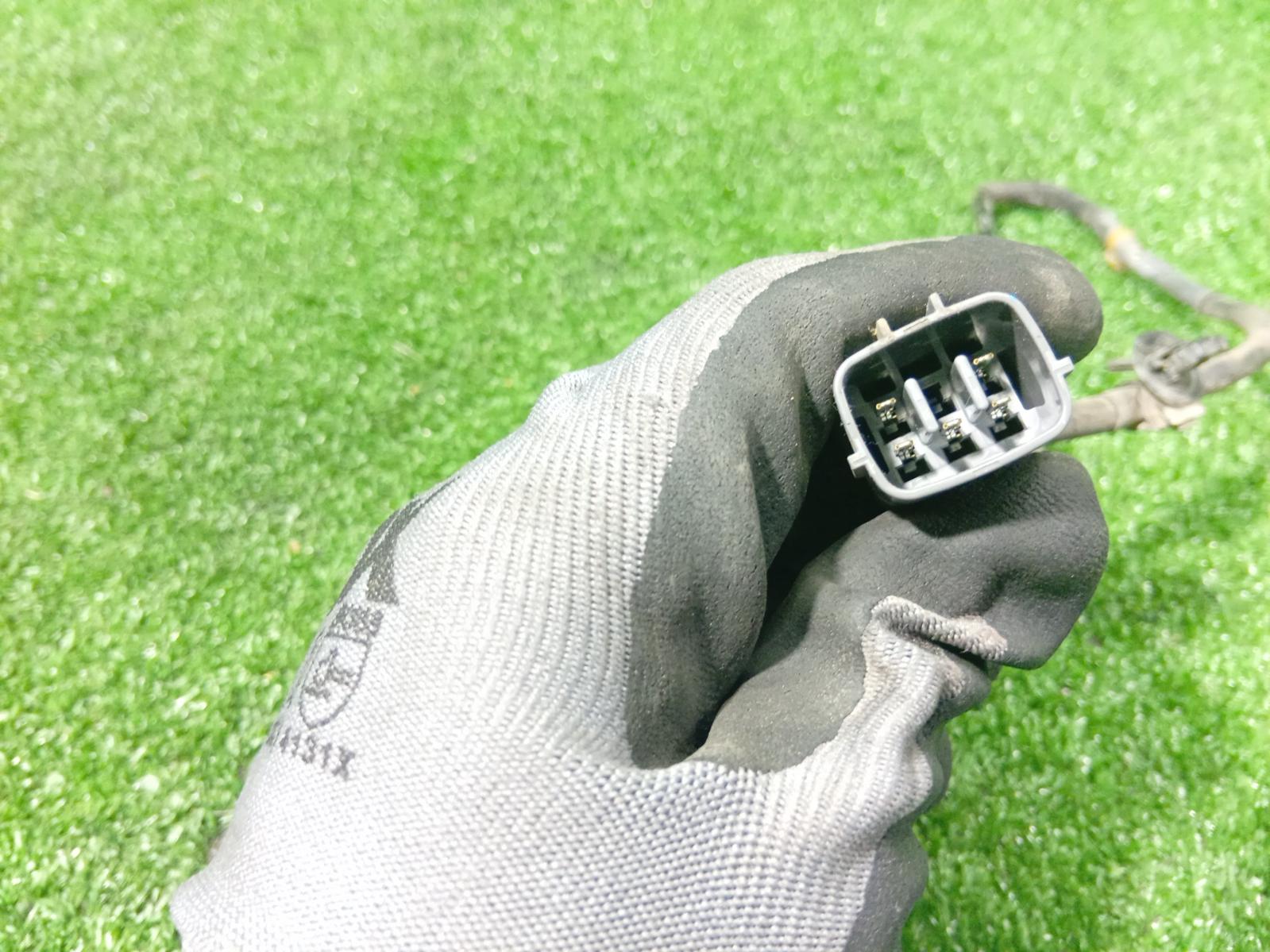 Oxygen Sensor
