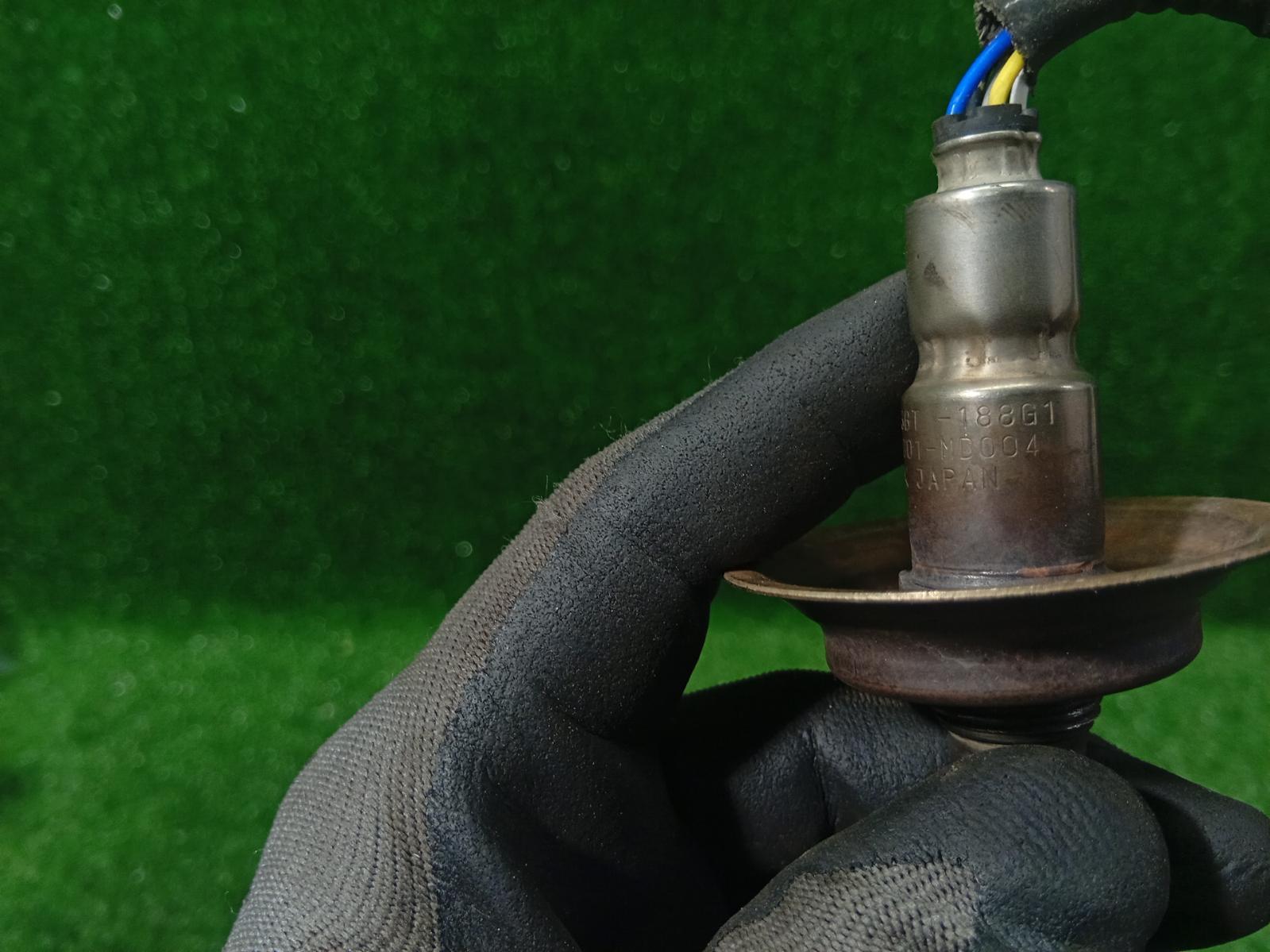 Oxygen Sensor