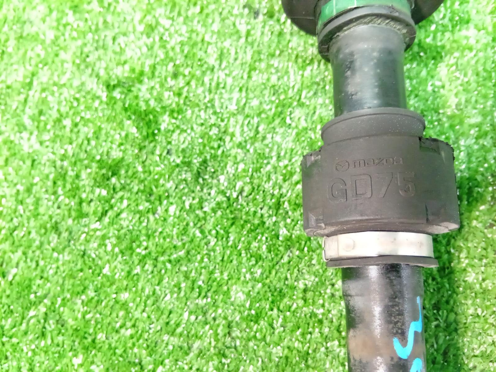 Left_Driveshaft