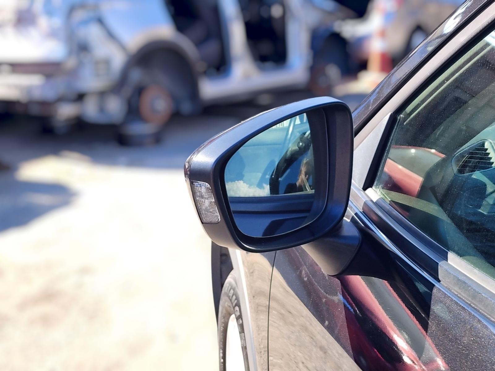 Left Door Mirror