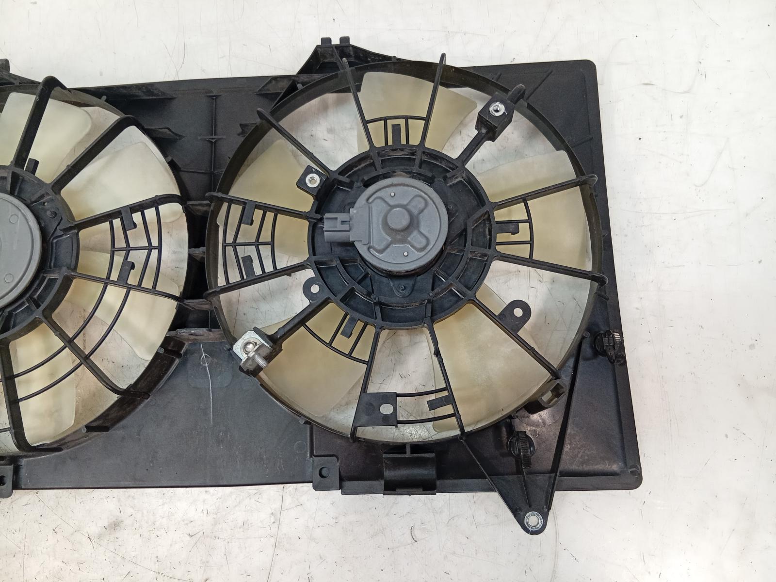 Fan