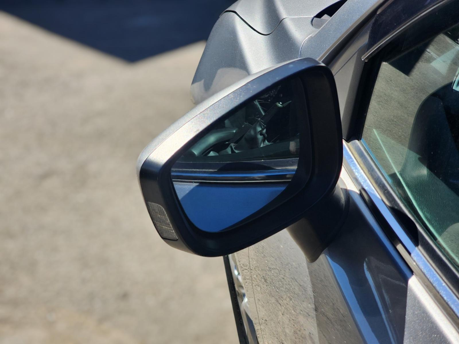 Left Door Mirror