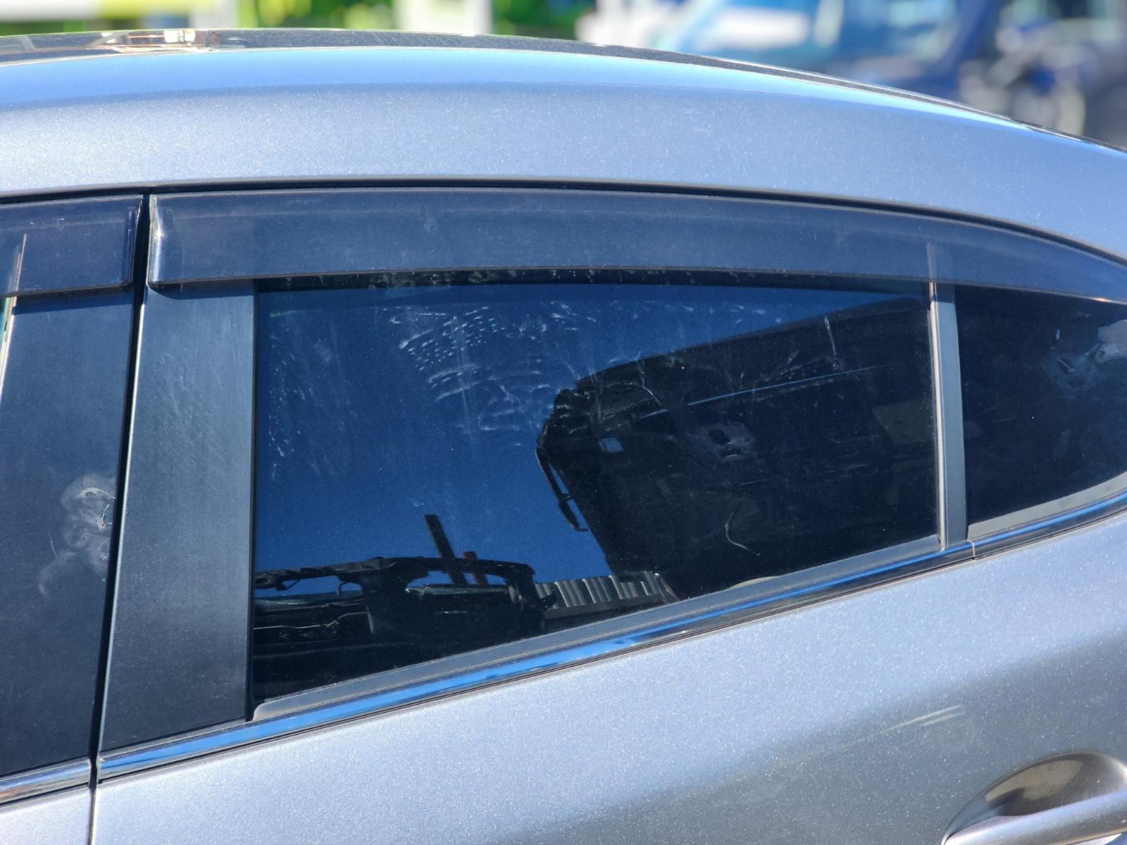 Left Rear Door Window