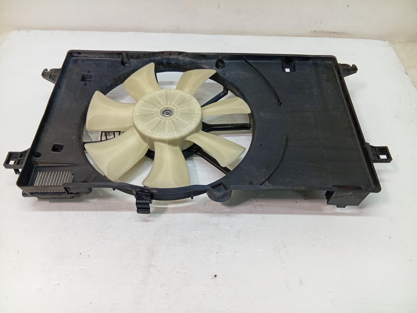 Fan