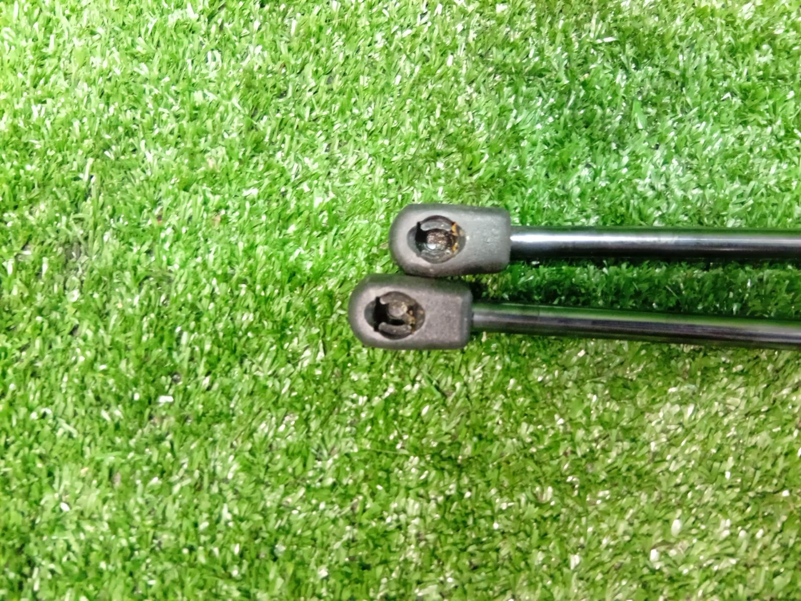 Hatch Strut