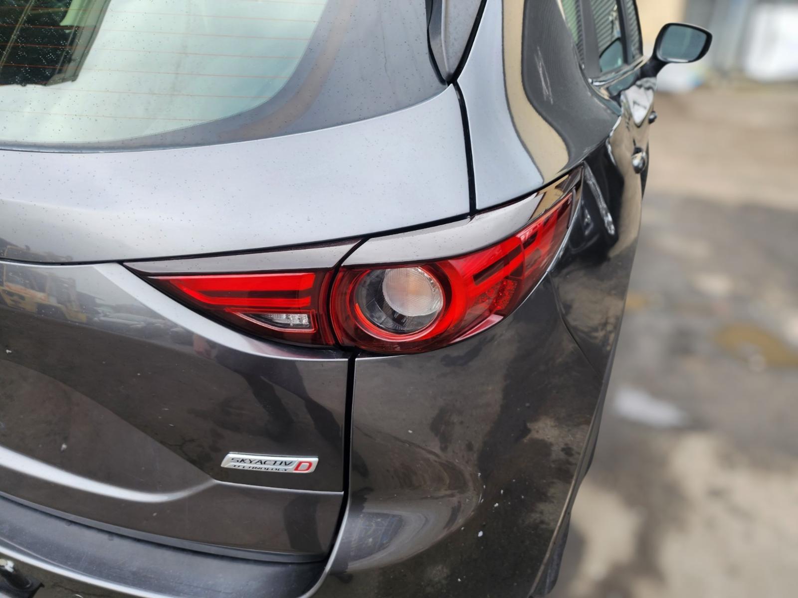 Right Taillight