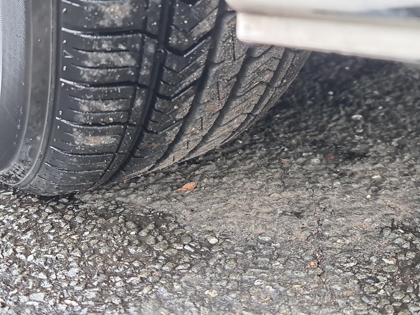 Mazda Axela - BL 2009-2013