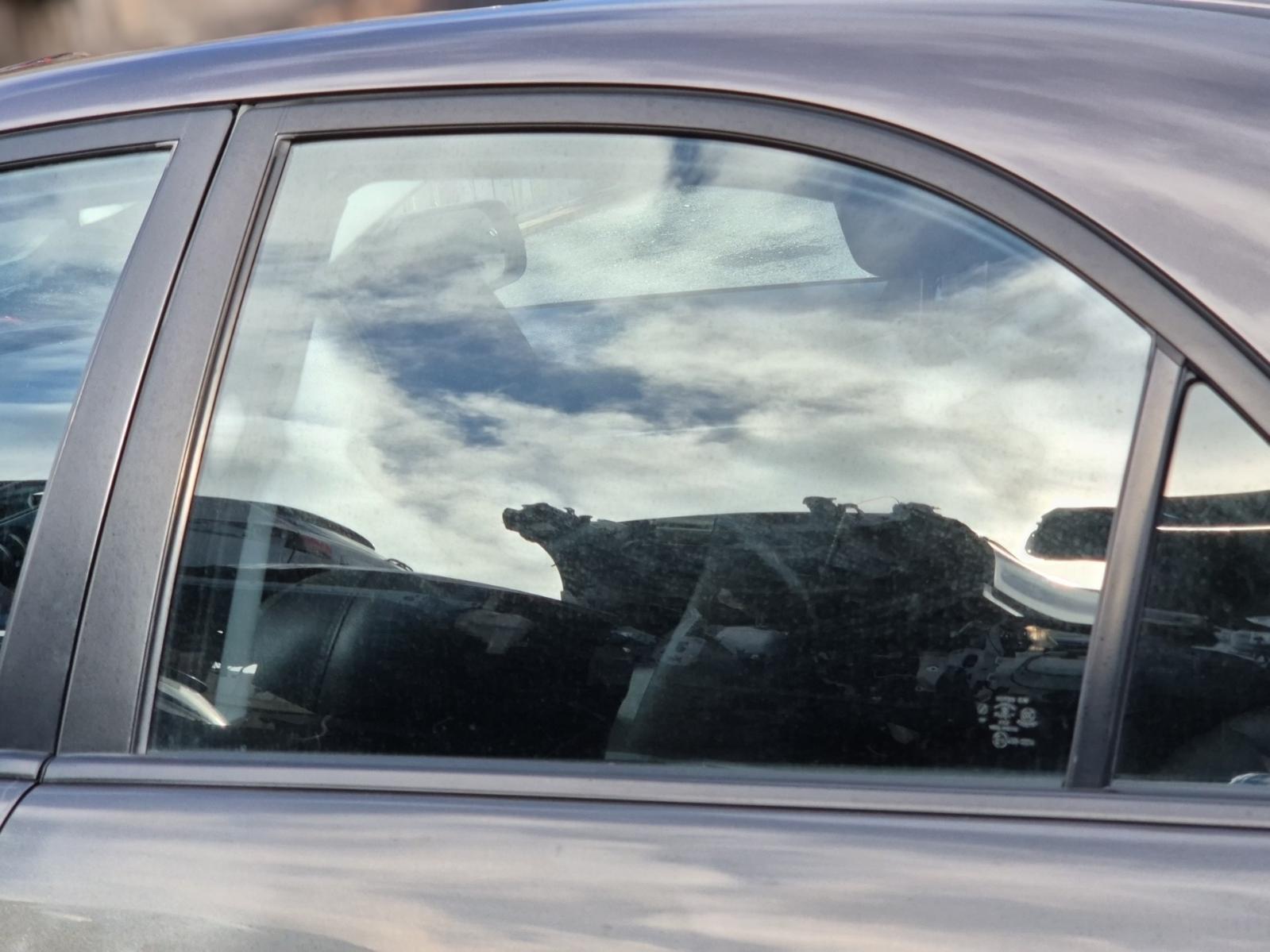 Left_Rear_Door_Window