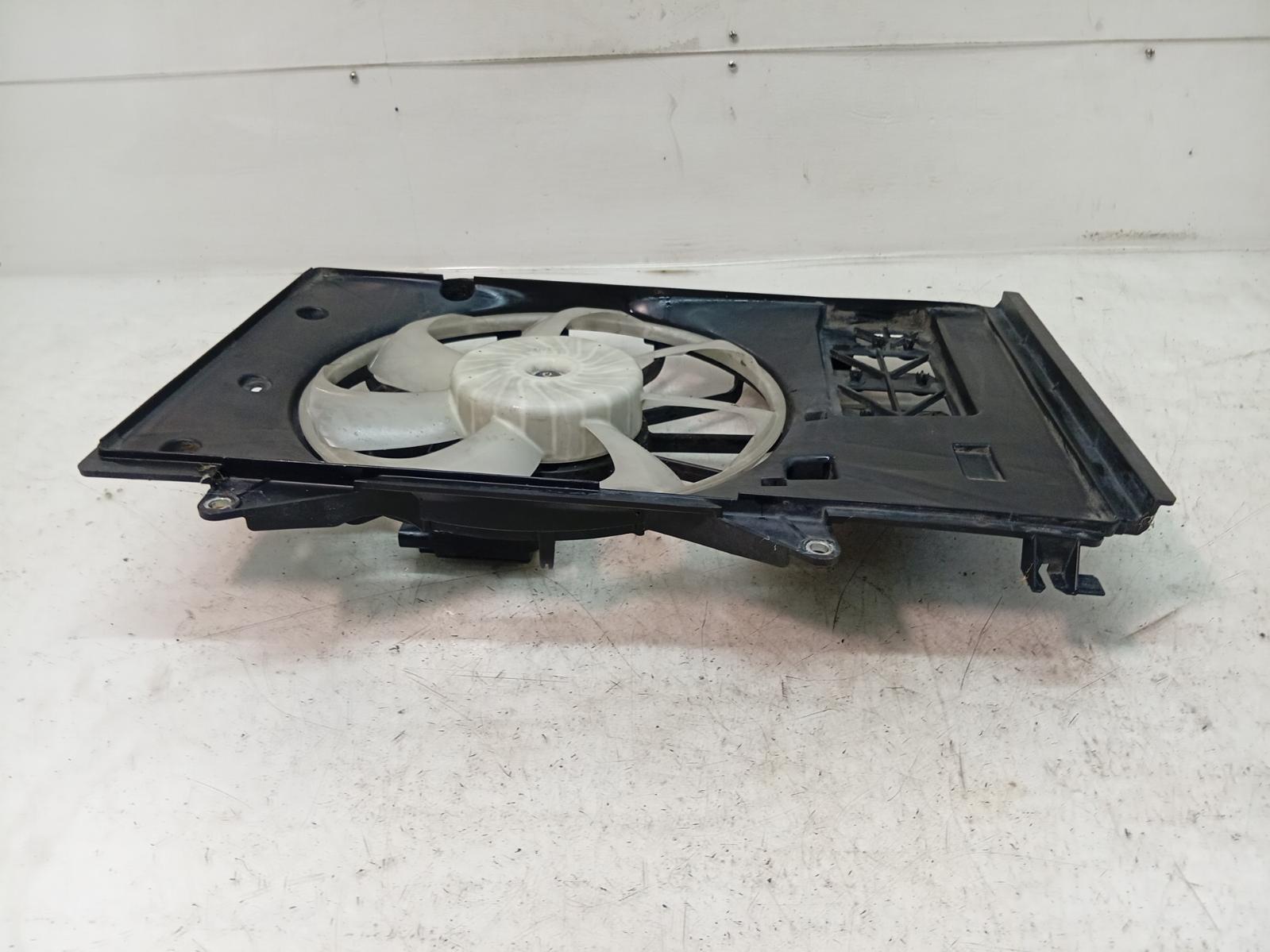 Fan