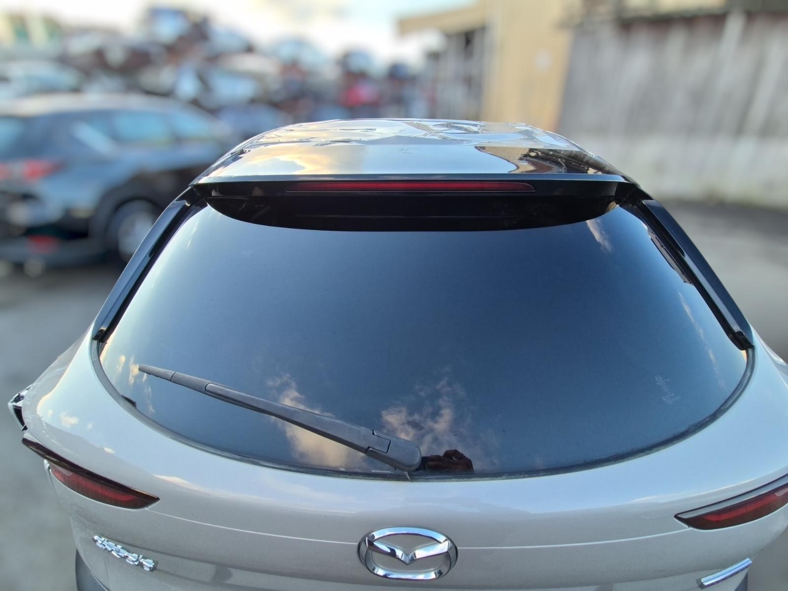 Rear_Tailgate_Glass