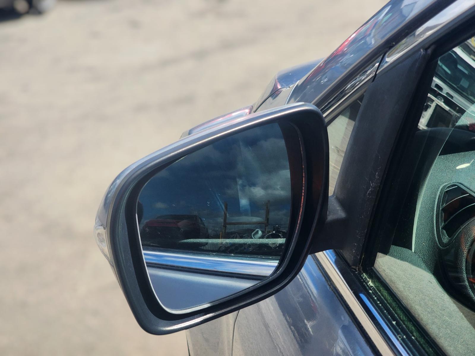 Left Door Mirror