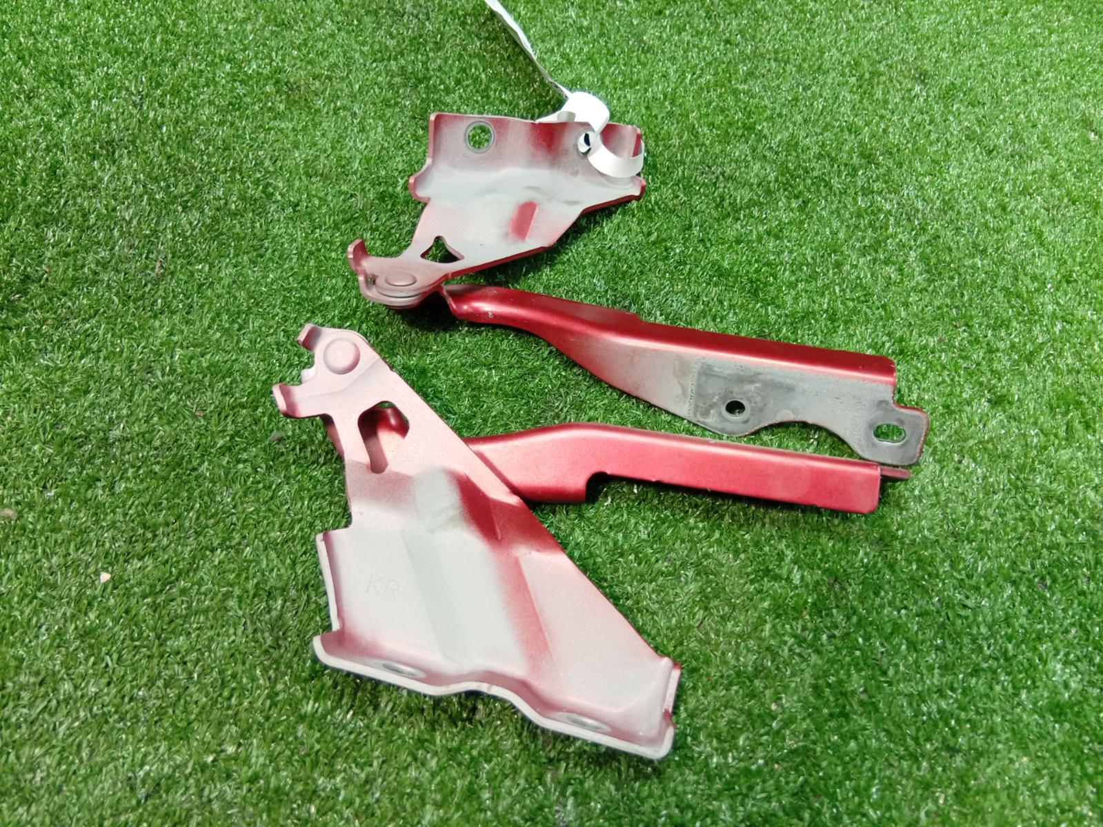 Bonnet Hinge Strut