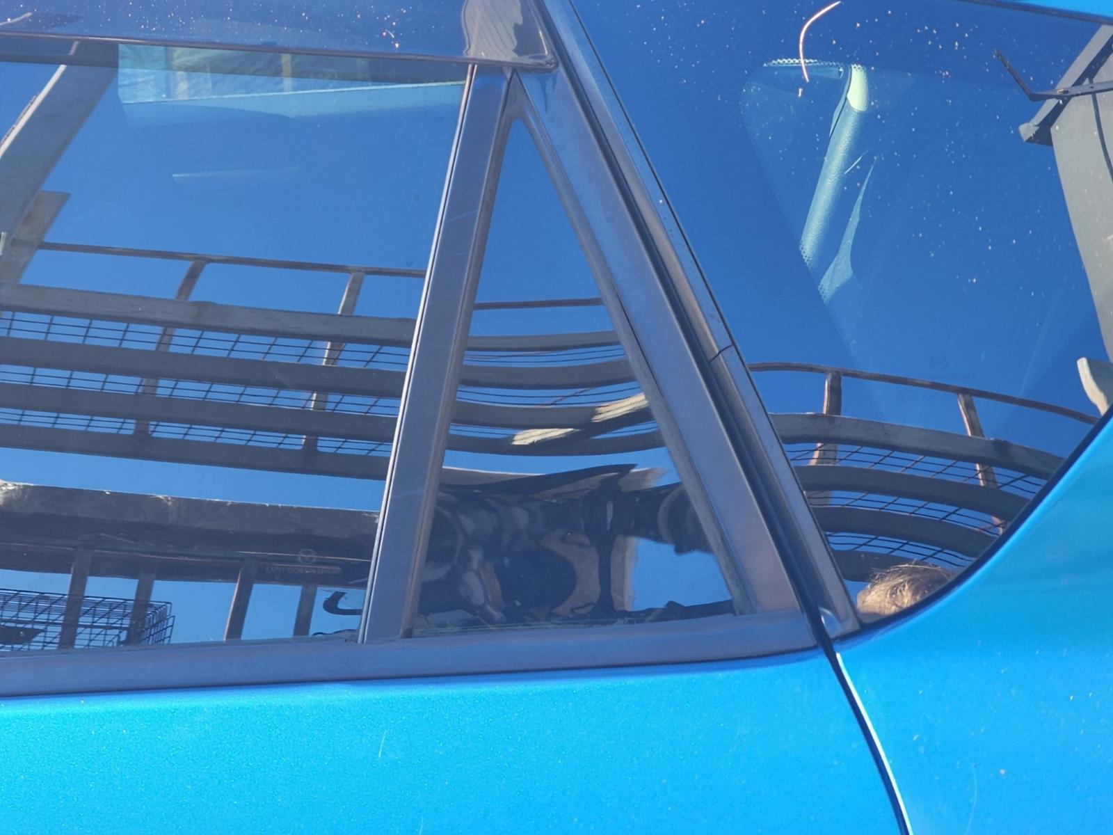 Left_Rear_1q_Door_Glass
