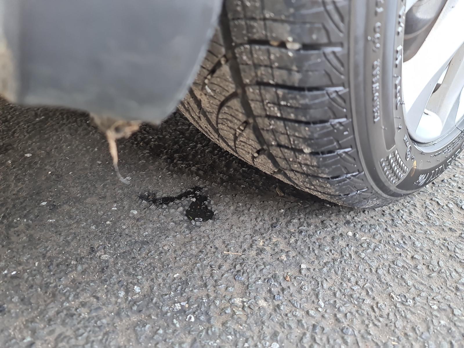 Mazda Atenza - GH 2008-2012