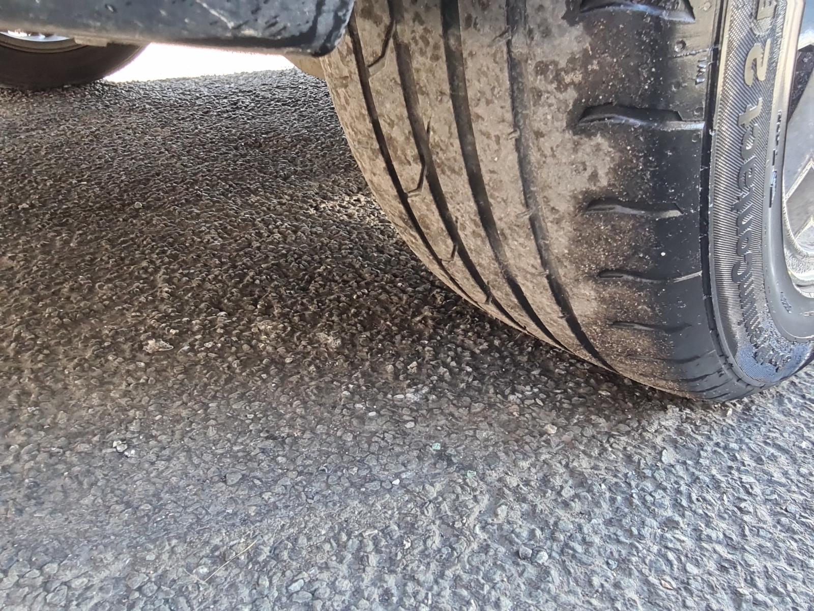 Mazda MPV - LY3P 2007-Present