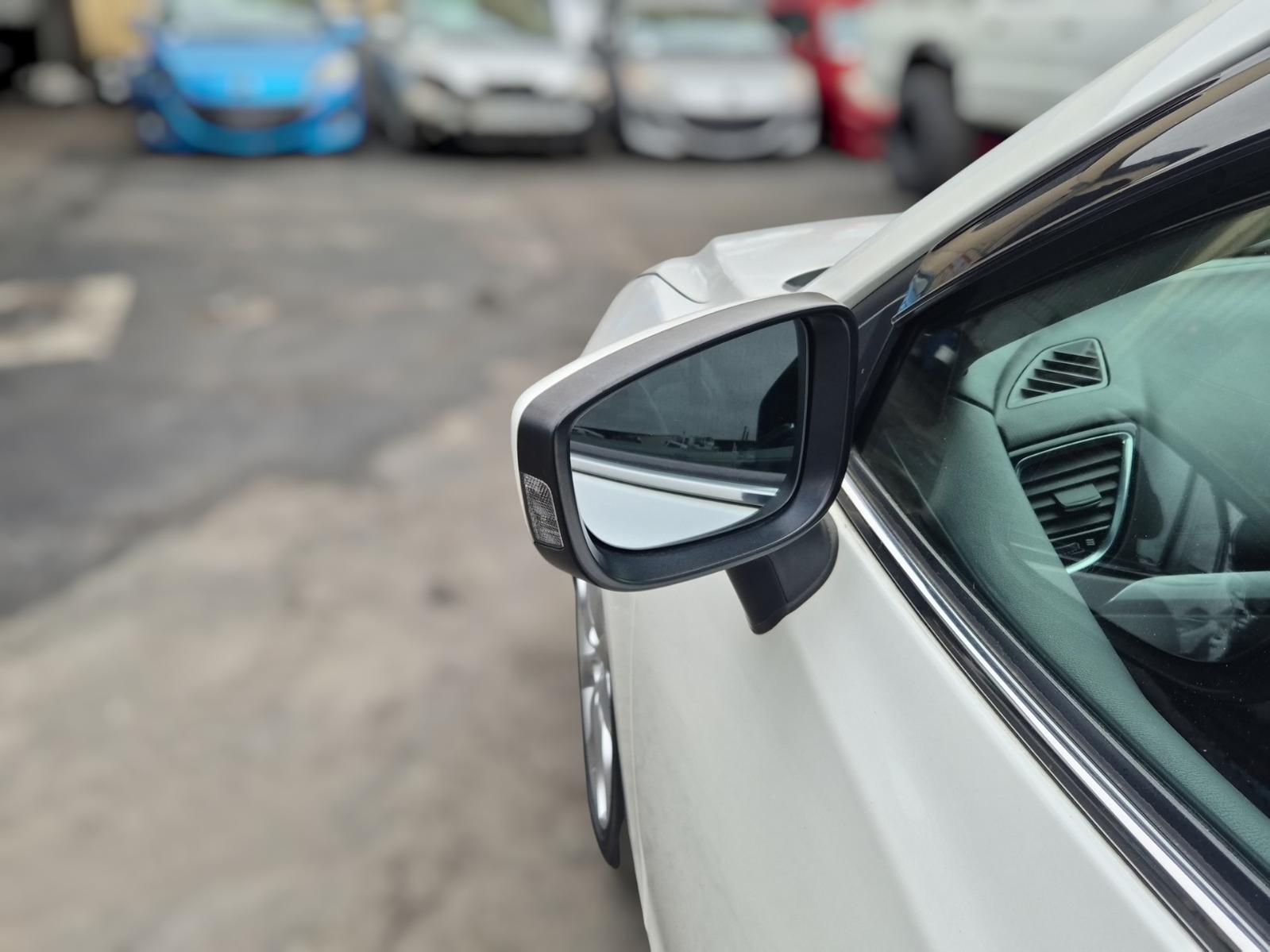 Left_Door_Mirror