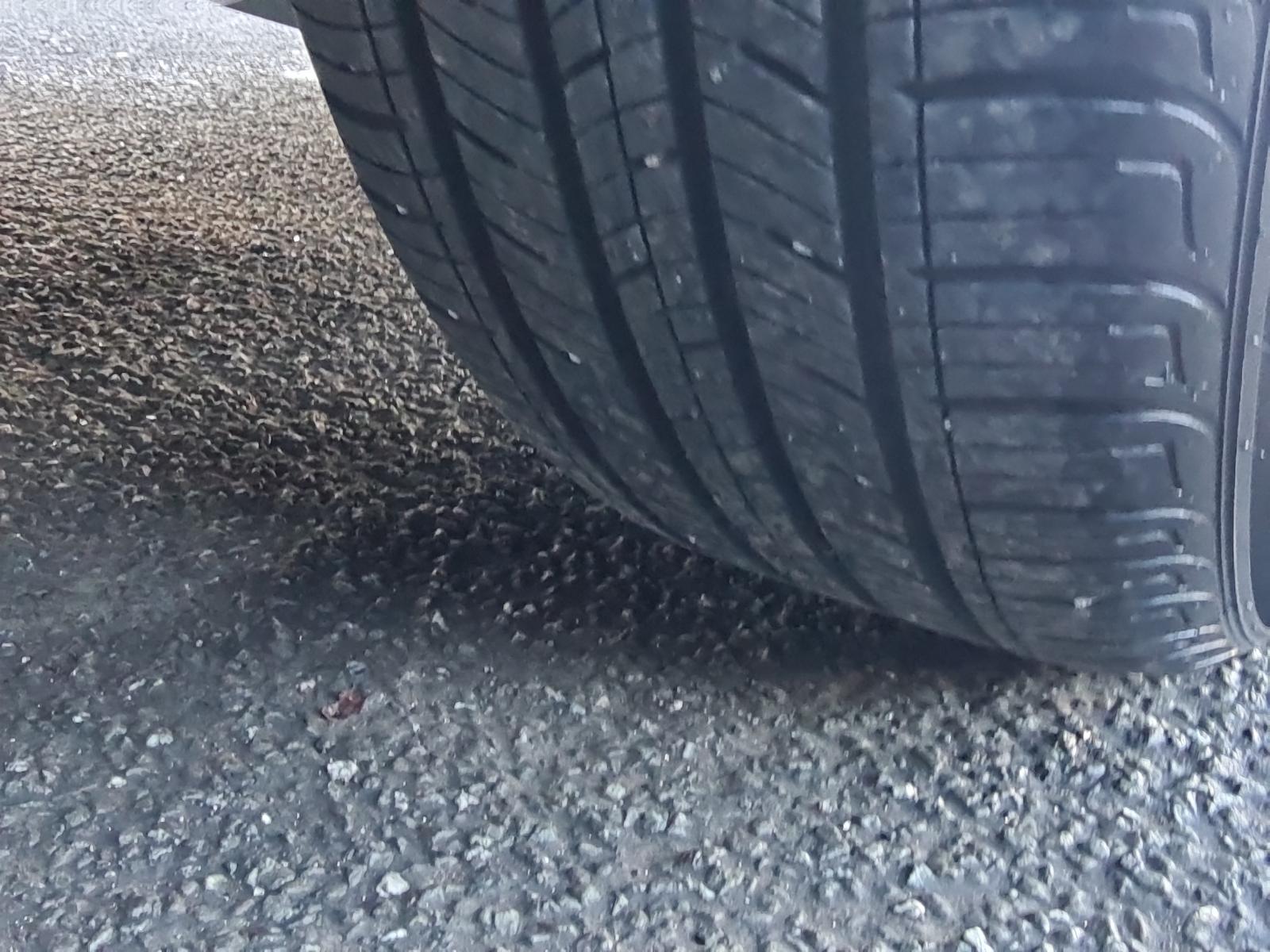 Mazda MPV - LY3P 2007-Present