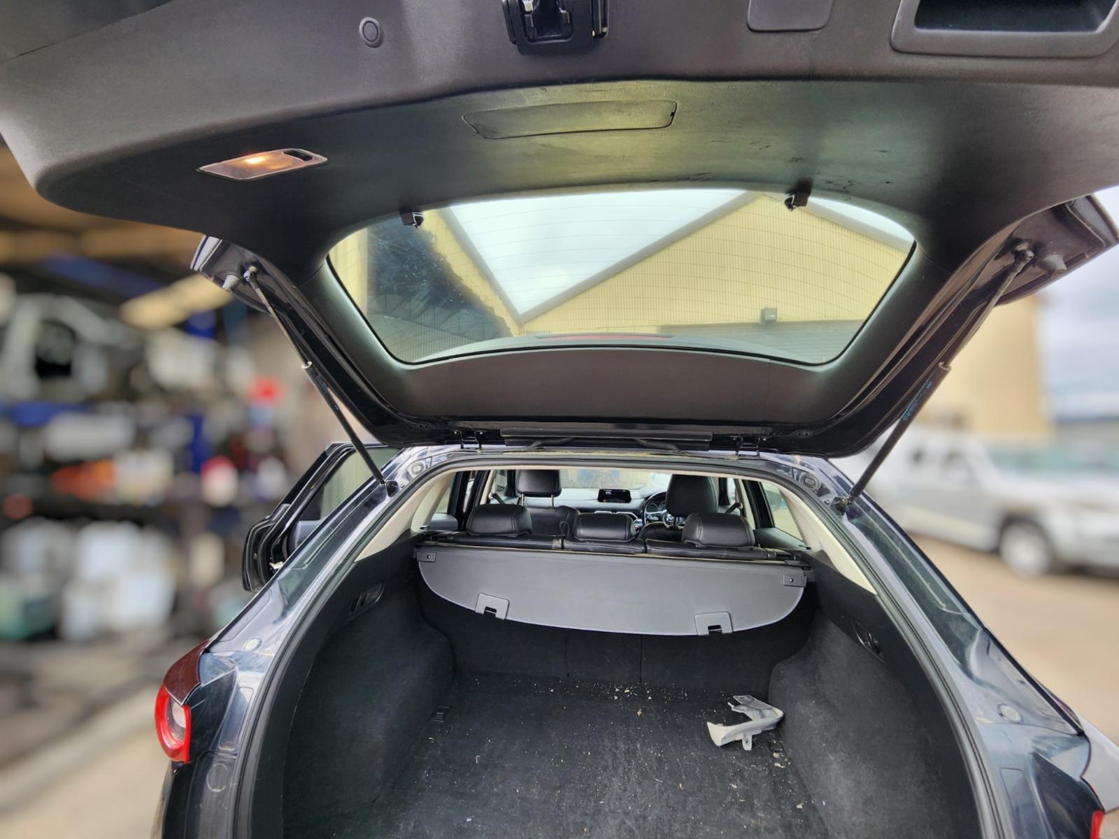 Hatch Strut