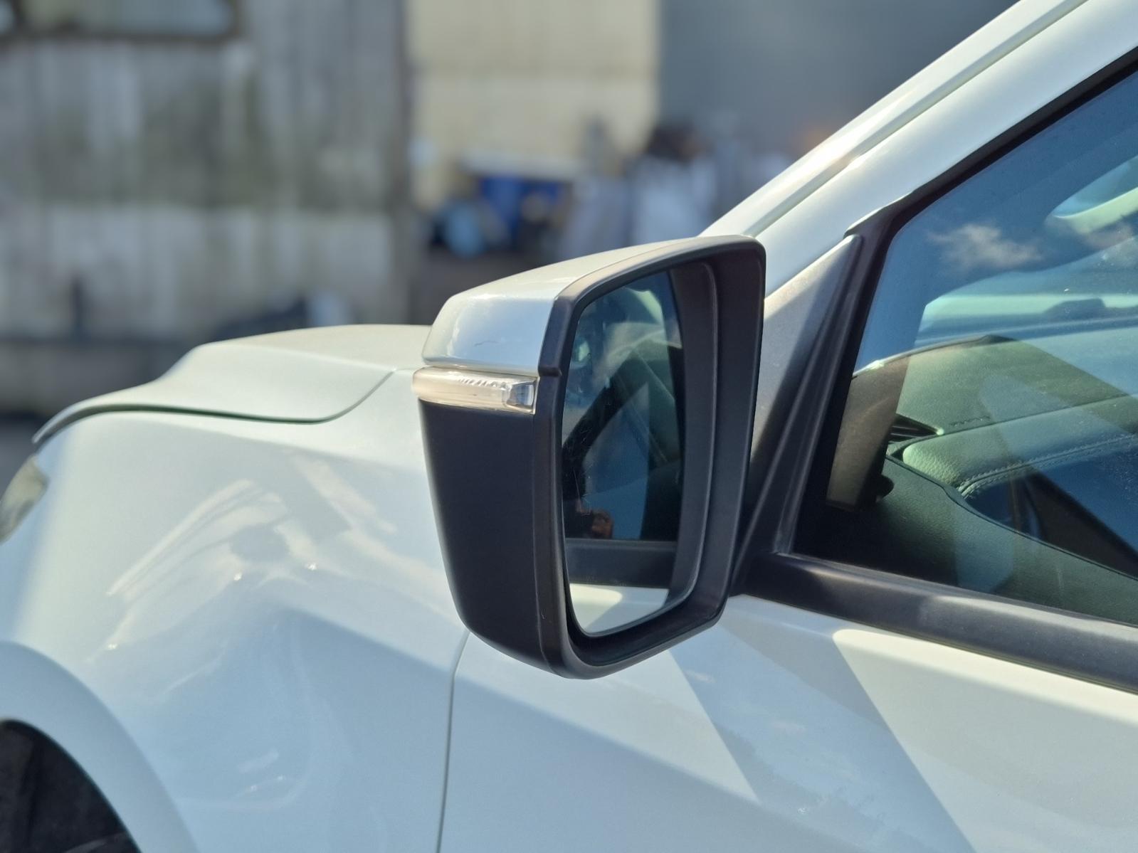 Left_Door_Mirror