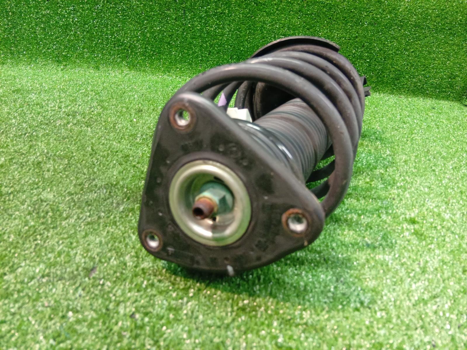 Left Front Strut