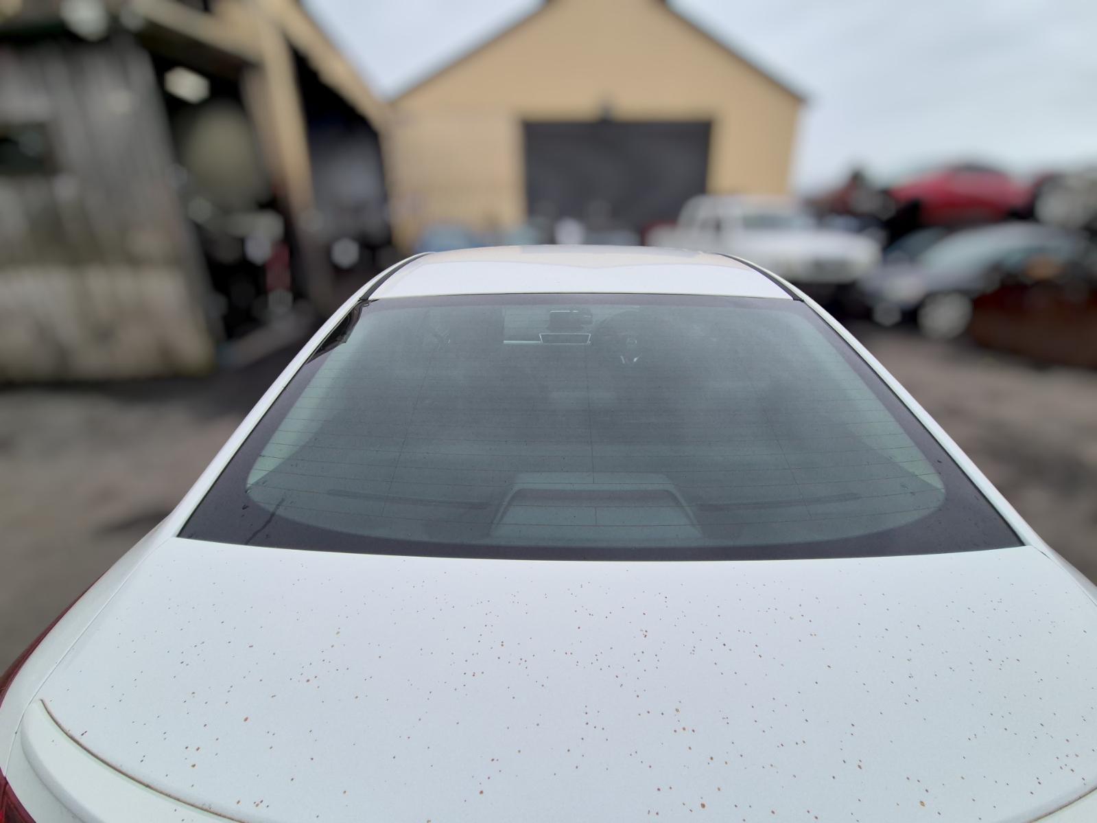 Rear_Tailgate_Glass