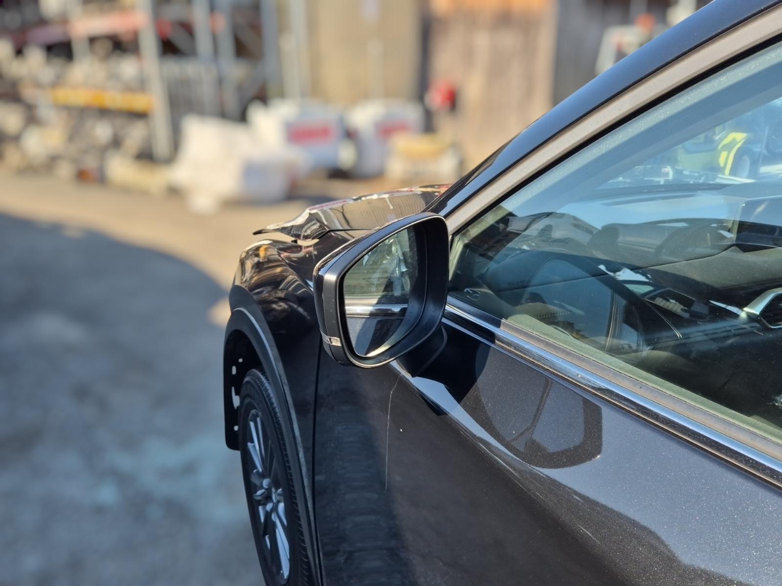 Left_Door_Mirror