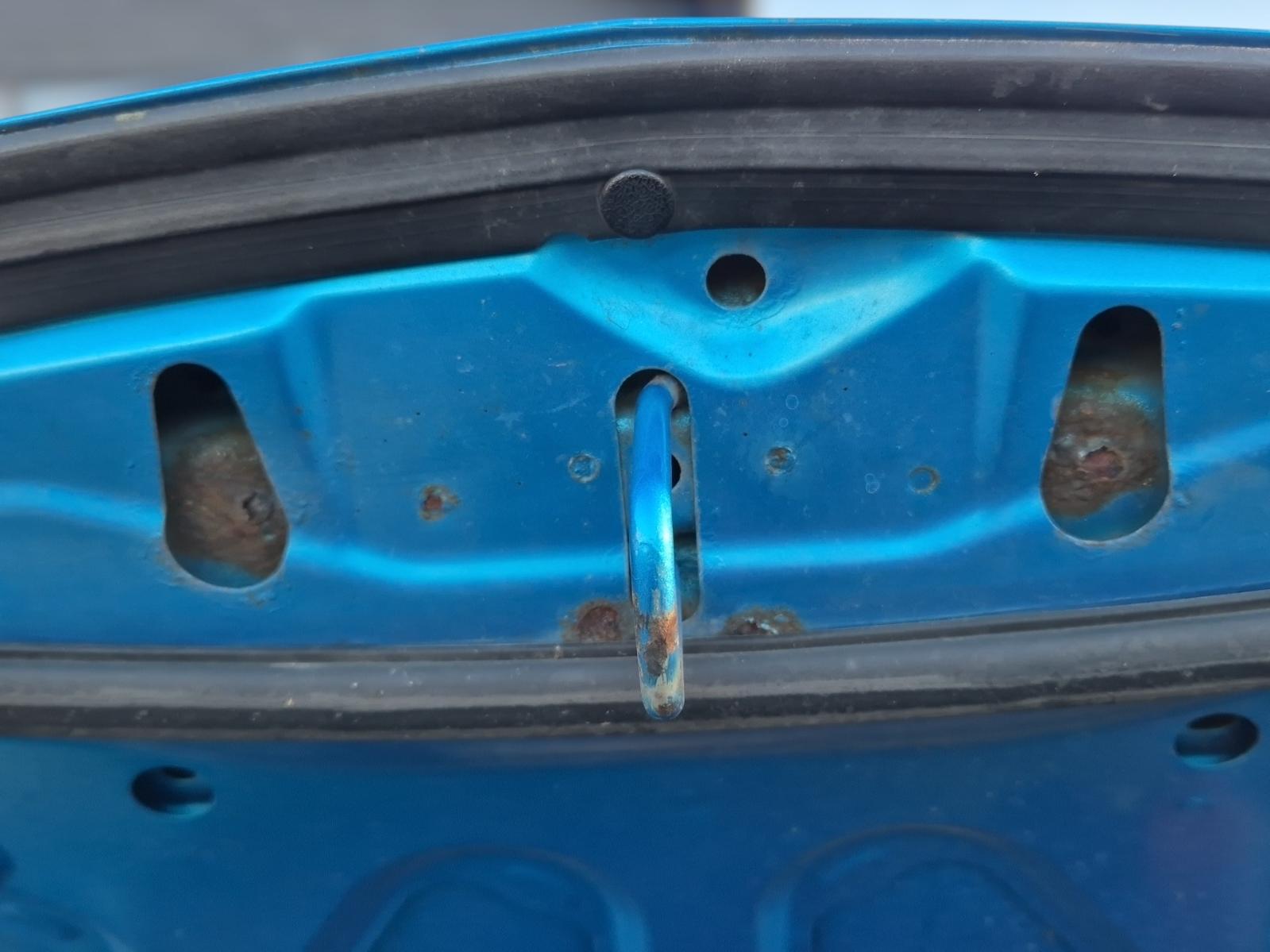 Bonnet