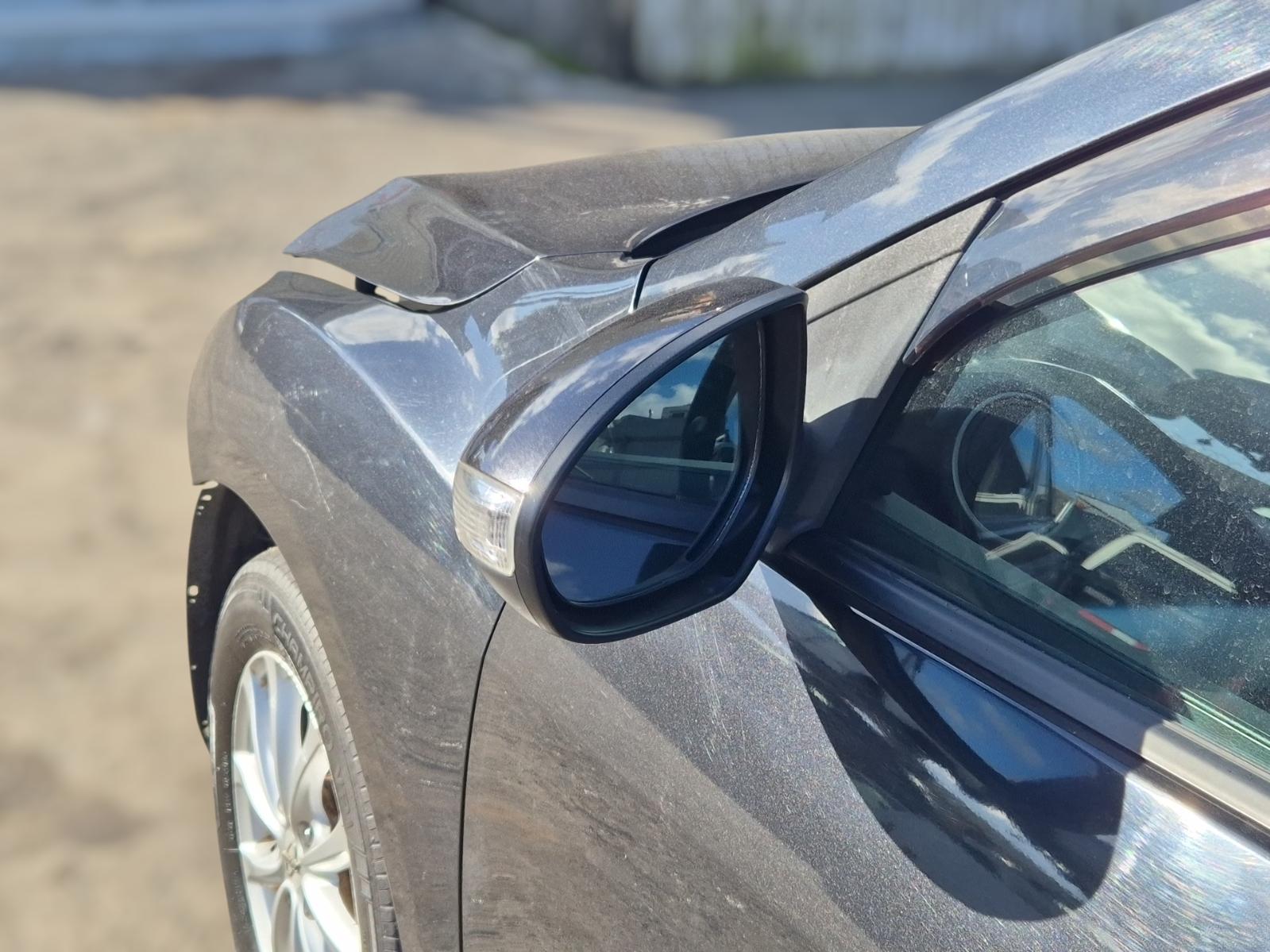 Left_Door_Mirror