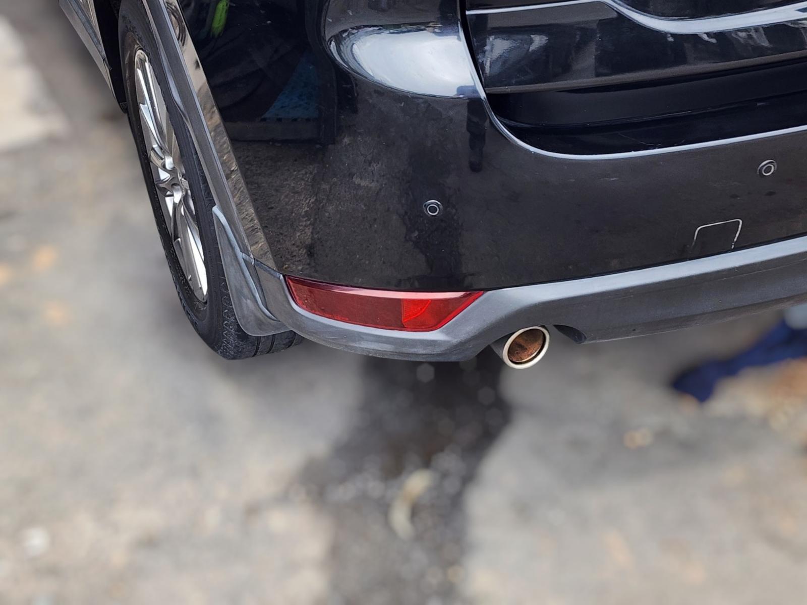 Left Taillight
