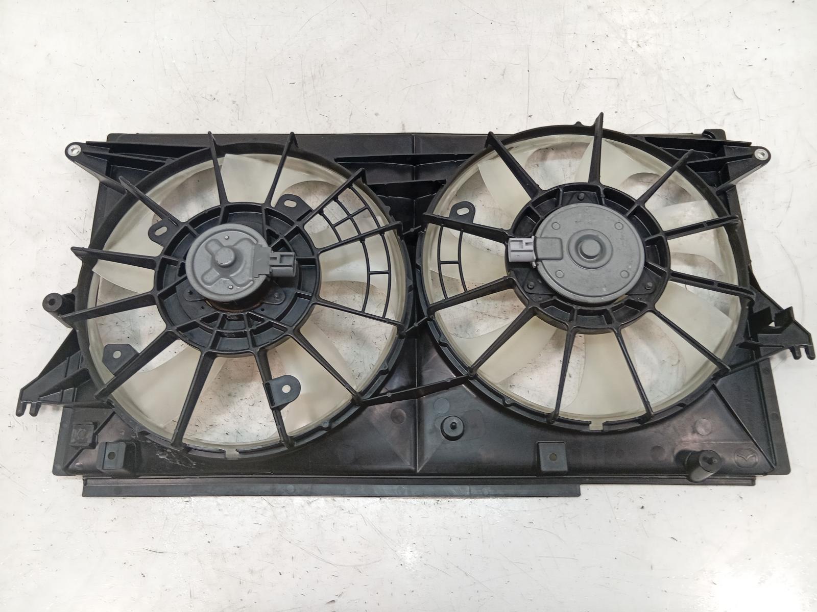 Fan