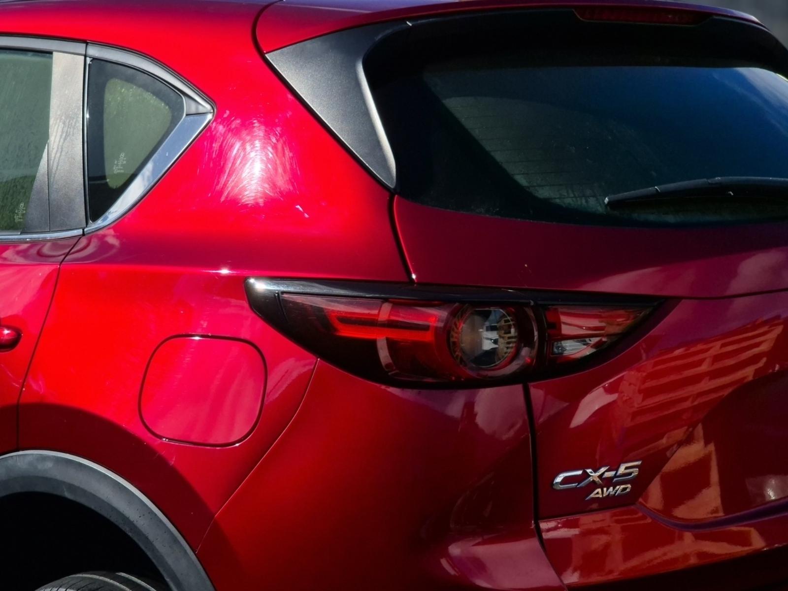 Left Taillight