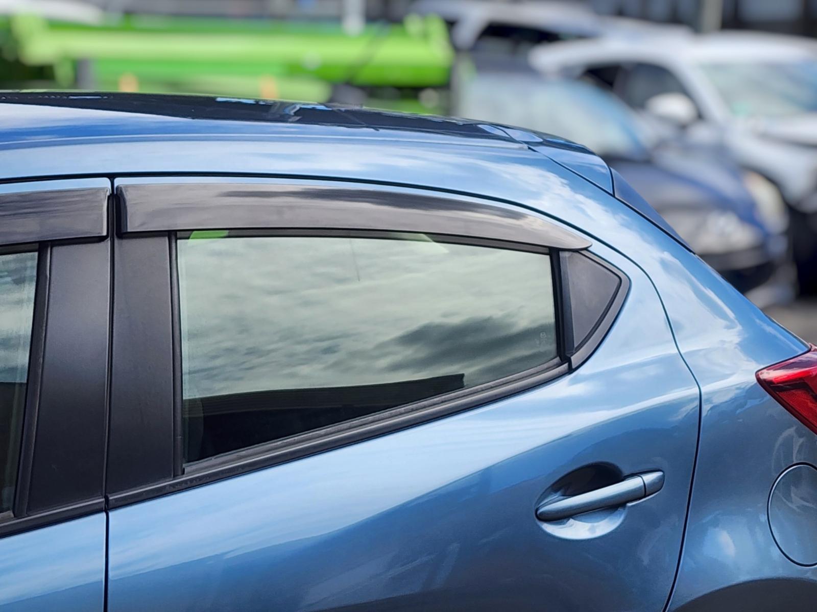 Left Rear Door Window