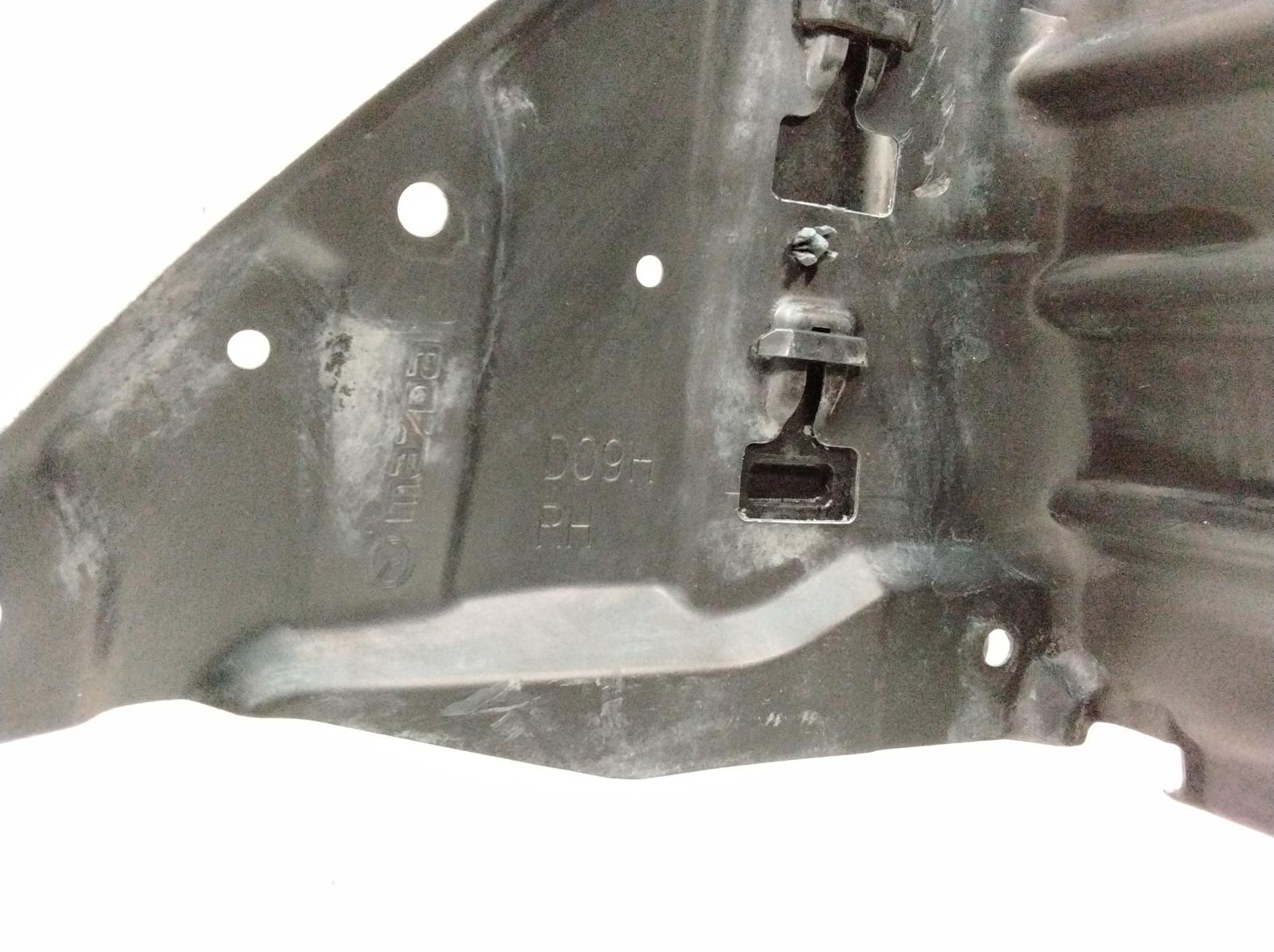 Right_Guard_Liner