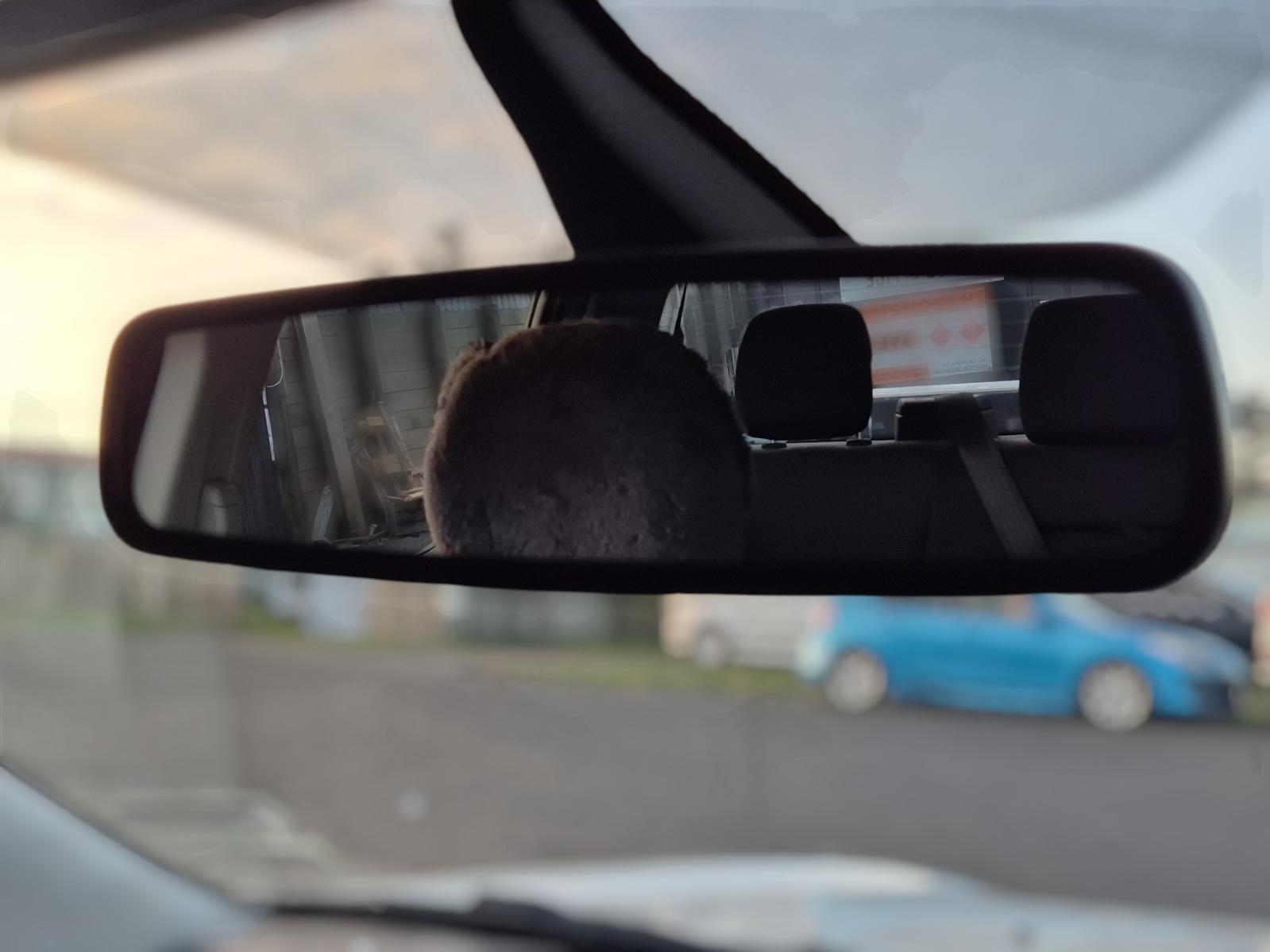 Interior_Mirror